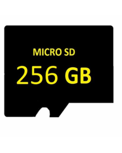 SD MICRO 256GB Surveillance High-End