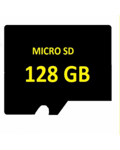 SD MICRO 128GB Surveillance High-End